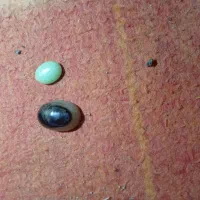 نگین انگشتر|جواهرات|بم, |دیوار