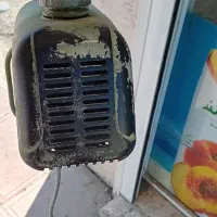 وان ماهی|ماهی|تالش, تالش|دیوار