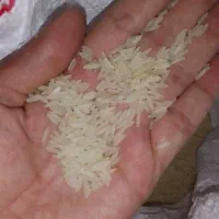 حدودا۸کیلو برنج هندی جی تی سی۱۱۲۱|خوردنی و آشامیدنی|مشهد, ایوان|دیوار