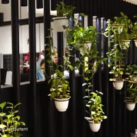 کاپیتان اوردر-ویتر-ویترس