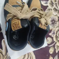 کتونی در حد نو|کیف، کفش، کمربند|پرند, فاز ۲|دیوار