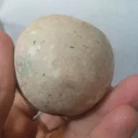 الماس آسیاب طبیعی غول۳۵۰ گرمی