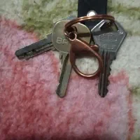 گمشده دسته کلید