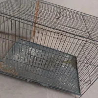 قفس پرنده