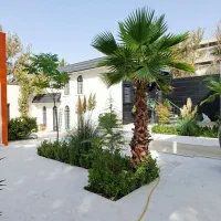 گیاه های  تضعنی ونهال مثمر وغیر مثمر