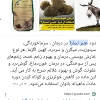 فروش عنبر نسا