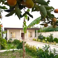 اجاره باغ ویلا روزانه و هفتگی در ساری|اجارهٔ کوتاه‌مدت ویلا و باغ|آکند, |دیوار