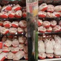 کارگر برای کار در مغازه مرغ فروشی