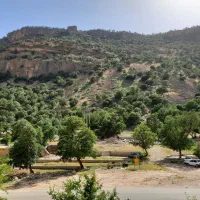 استخدام کارگر ساده کارگاه سنگ