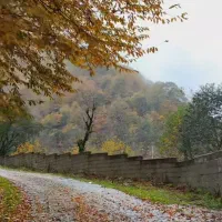 معرفی-زمین-و-آپارتمان-در-شمال-با-تضمین