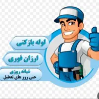 لوله بازکنی فنرزن صادقیه بلوار فردوس ستارخان فوری|خدمات پیشه و مهارت|تهران, فردوس|دیوار