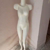 لوازم مغازه|حراج|تربتحیدریه, کاشانی|دیوار