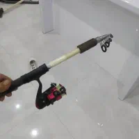 لنسر ماهیگیری