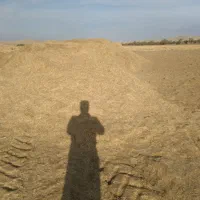 کاه کلش|حیوانات مزرعه|شاهین دژ, |دیوار