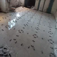 کاشی کاری و سرامیک کاری