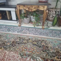گل طبیعی خانگی|گل و گیاه طبیعی|شیراز, شهرک بزین|دیوار