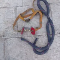 دهنه اسب سوار کاری