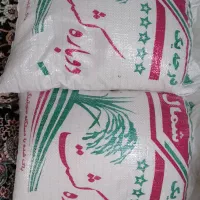 فروش برنج دوباره کشت و  طارم محلی