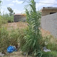 فروش زمین زاغمرز میدان عبدالملکی ۲۲۰ مترداخل بافت|فروش زمین و ملک کلنگی|بهشهر, |دیوار