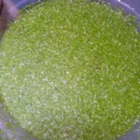 گوپی تاپ گرید|ماهی|تربت‌حیدریه, باغ سلطانی|دیوار