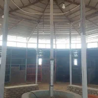 پانسیون اسب