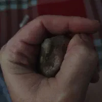 سنگ قیمتی|کلکسیون اشیاء عتیقه|سهند, |دیوار