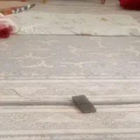 ۲۴  ۰  ۲۳   ۲۳   ۰۹۱۳