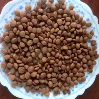 غذای خشک سگ و گربه ویتاپت