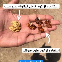 محلول تقویتی (ارگانیک)