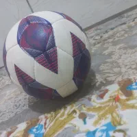 توپ تنبل سالنیmolten