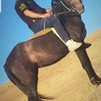 فروش حیوان خوب