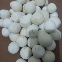 سنگ سفیداسیاب