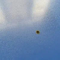 میز تحریر|میز تحریر و کامپیوتر|شهرکرد, |دیوار