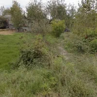 کارگر روزمزد