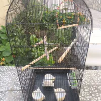 قفس پرنده با تمام وسایل