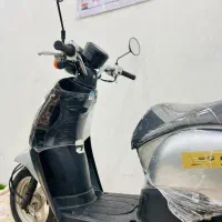 هوندا پاکشتی تودی اف ژاپنی اصلی1403|موتورسیکلت|شیراز, شهرک سراج|دیوار