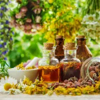 اموزش دوره گیاهان دارویی