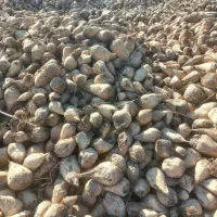 هرچقدر تناژ بالاتر قیمت مناسب تر