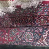 فروش یک عدد فرش دست بافت|فرش|قرچک, میرزائی شمالی|دیوار