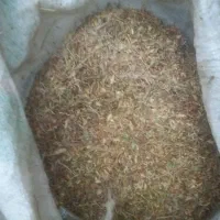 پوست خربزه خشک و خار|خوردنی و آشامیدنی|تربت جام, یحیی آباد|دیوار