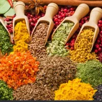 همکار خانم برای بسته بندی