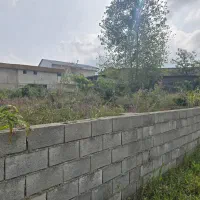 فروش 240 متر زمین دیوار کشی شده چالوس