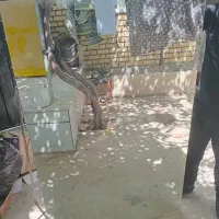 اینه
