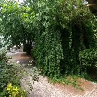 کوچکسرا ۳۴۵ زمین ۱۰۰ بنا