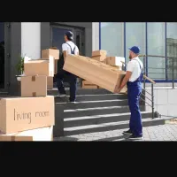 اساس کشی|خدمات حمل و نقل|کیش, |دیوار