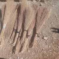 جارو|لوازم نظافت|کرمانشاه, |دیوار