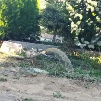 حفاری چاه آب