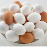 پخش تخم مرغ