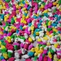جوجه رنگی و محلی بصورت عمده|حیوانات مزرعه|هندیجان, |دیوار
