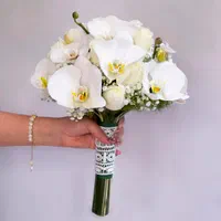تشریفات پیوند و ازدواج آسان صفا (تالار،باغ،آتلیه)